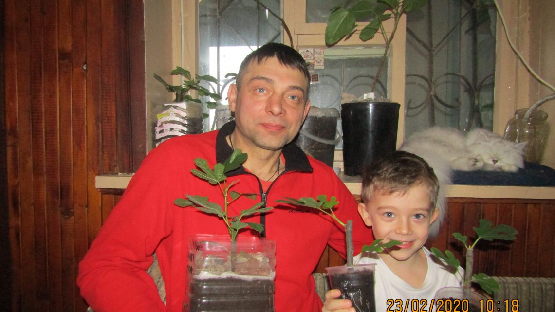 Юрий Кузнецов: Коллекционирую сорта инжира и он мне все больше нравится