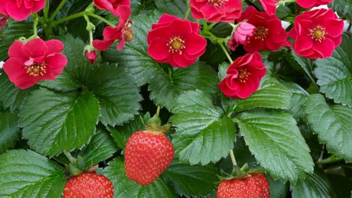 Правила Оформление заказа