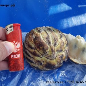 саусеп - сметанное яблоко